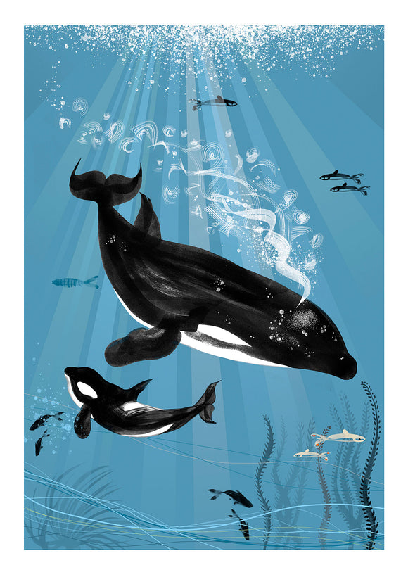 FINE ART PRINT – 'ORCA WHALE' (A4 / A3) Giclée
