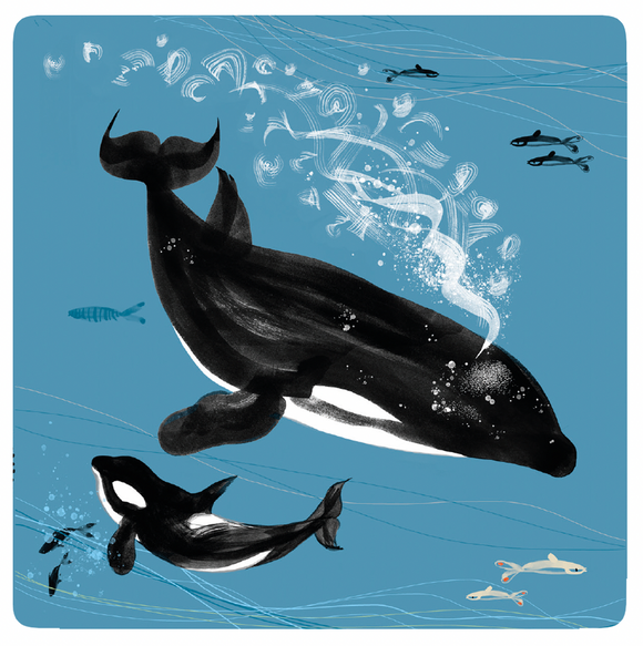 COASTER - SEA OUR OCEANS 'Orca'