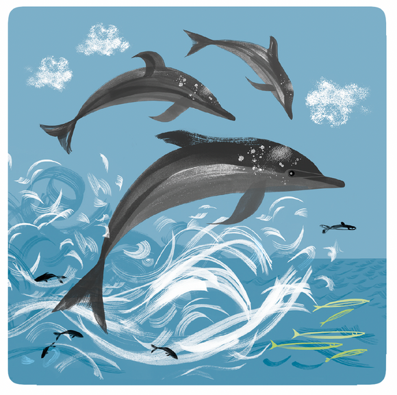 COASTER - SEA OUR OCEANS 'Dolphin'