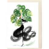 MISS MONSTERA | FLOWERS OF THE CATWALK CARD/S