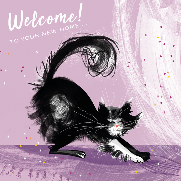 PAW BEHAVIOUR – Scratch Kitty (Copy)