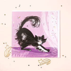 PAW BEHAVIOUR – Scratch Kitty