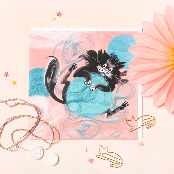 PAW BEHAVIOUR – Woolly Cat