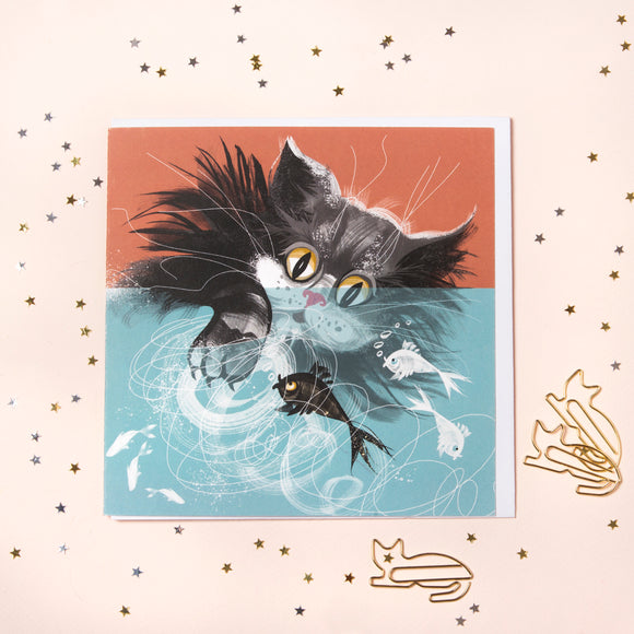PAW BEHAVIOUR – Catfish