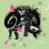 PAW BEHAVIOUR – Molly Mudd