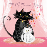 LOVE CATS – 'Kitty Cat Love' Mothers Day