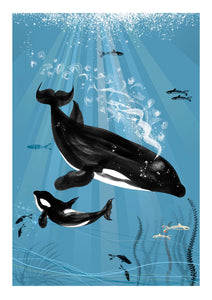 ART PRINT – ORCA / KILLER WHALE (A4 / A3)