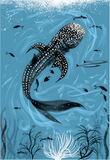 ART PRINT – 'WHALE SHARK' (A5, A4 & A3)