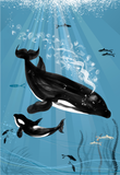 ART PRINT – 'ORCA WHALE' (A5, A4 & A3)