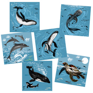 SEA OUR OCEANS CARDS (6)