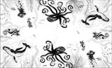 A Black and white illustrated oil-cloth table cloth, 2.5m x 1.5m of endangered ocean marine life including Octopus, Humpback Whale, Seahorse, and Jellyfish in loose black and grey brushstrokes